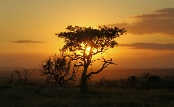 Thanda scenery