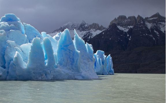 spectacular grey glacier