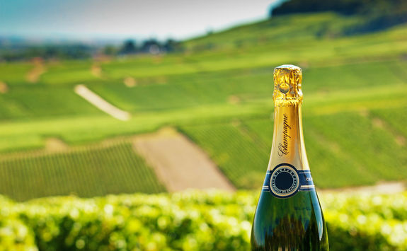 Champagne bottle in a vineyard