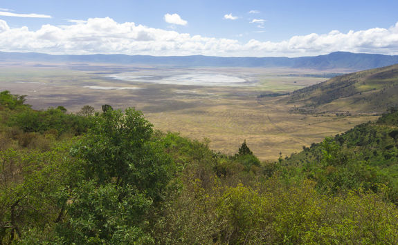 View of Ngorongoro from a hill