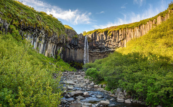 Waterfall Svartifoss in Skaftafell National Park