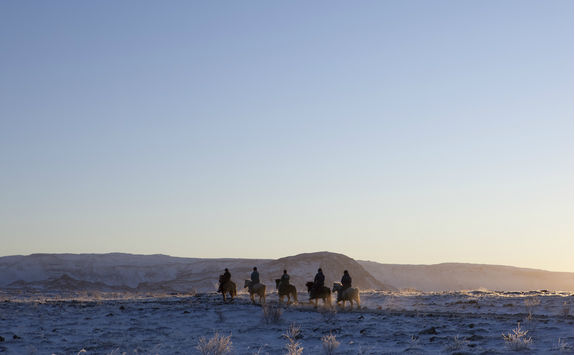 Horseback riding in Iceland in winter