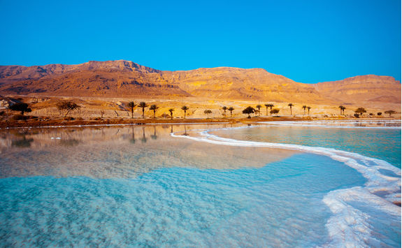 Dead Sea with Palm Trees in Jordan