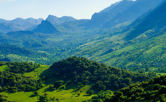 Sierra de Grazalema from above