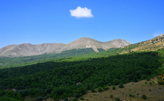 Green hills near Gallipoli