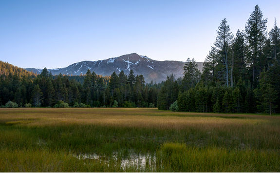 Agricultural field in Lake Tahoe