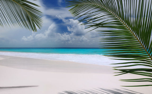 Grand Anse Beach