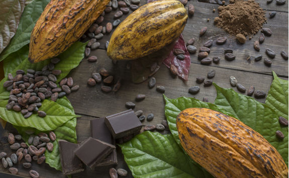 Cacao Bean and Chocolate