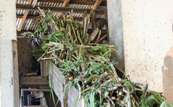 Rum Distillery