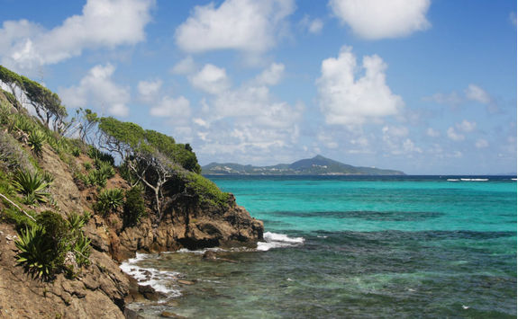 Tobago Cays Marine Park