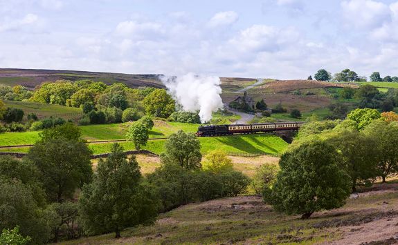 Pickering steam train