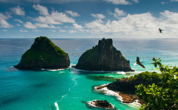 Coastline of Fernando de Noronha