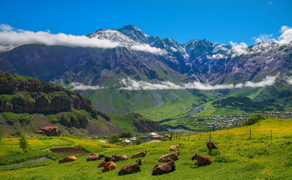 Caucasus mountains