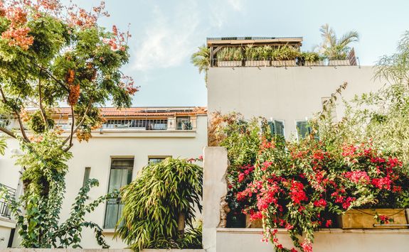 old town jaffa