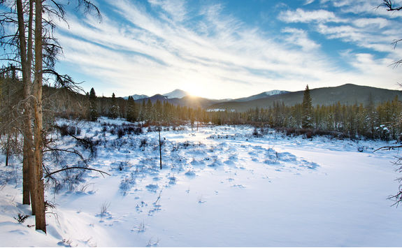land near fraser in the snow