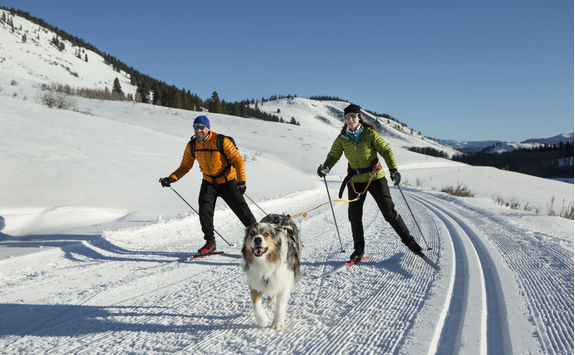 skijoring