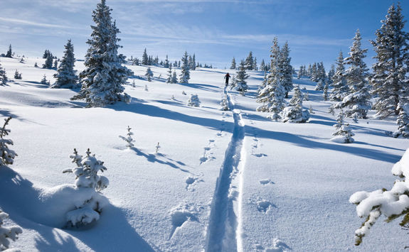snow fun skiing