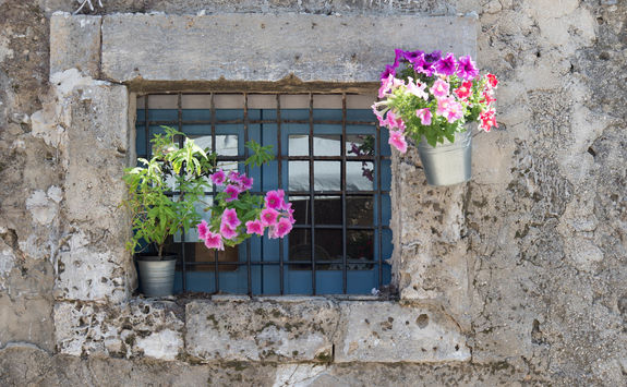 old window with flowers
