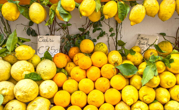 amalfi lemons