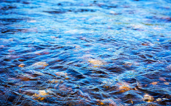 stream pebbles detail