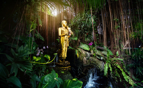 buddha statue tropical forest