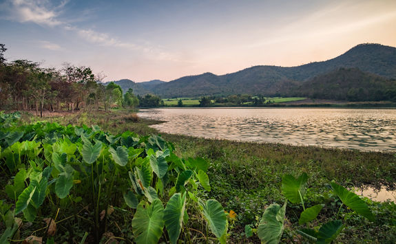 pai river