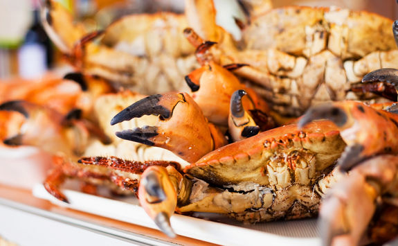 crab and go on the beach