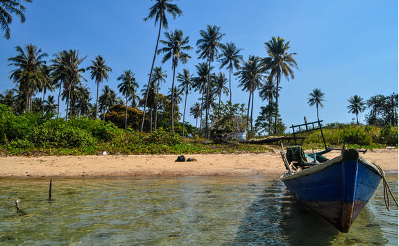 rabbit island beach