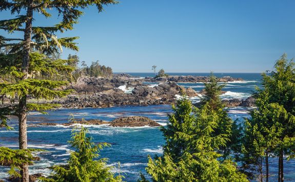 tofino coast
