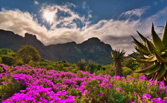 nature valley