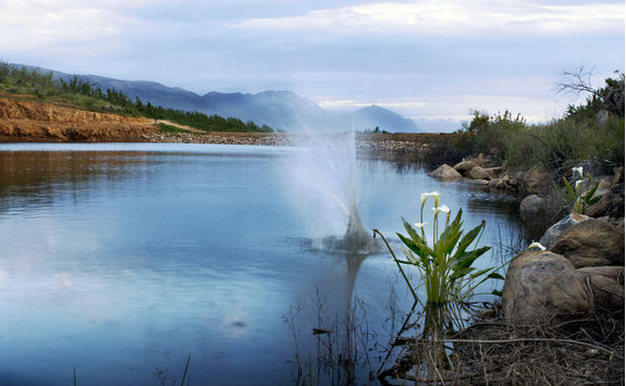 dam cederberg