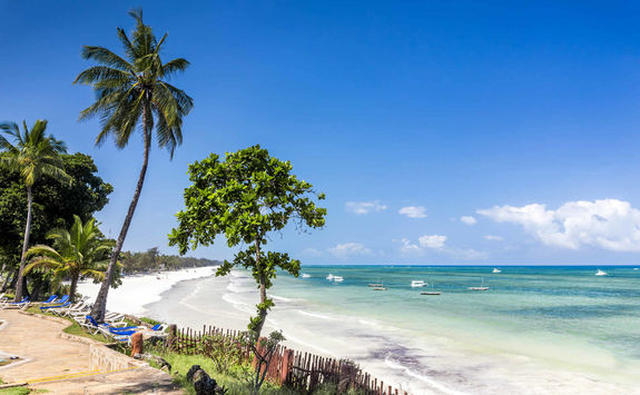 tropical diani beach