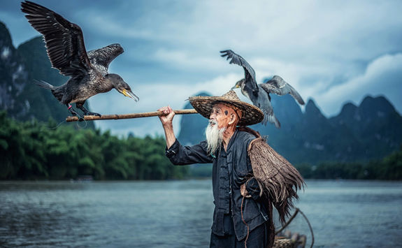 cormorant fisherman