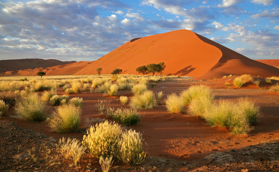 sossusviei sand dune