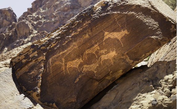 rock art twyfellfontein