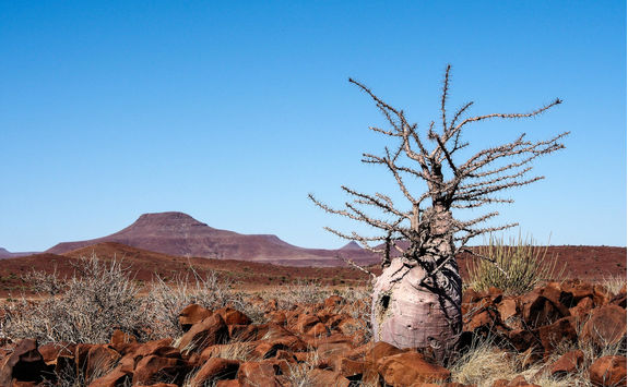 desert view twfelfontein