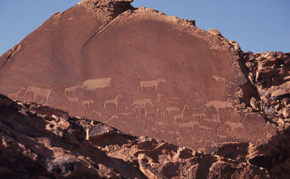 petroglyphs twfelfontein