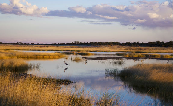 etoscha national park landscape