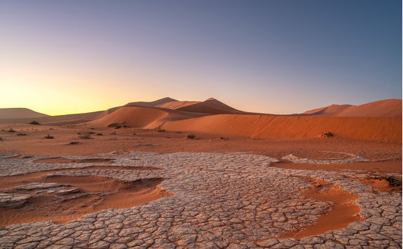 big daddy dune