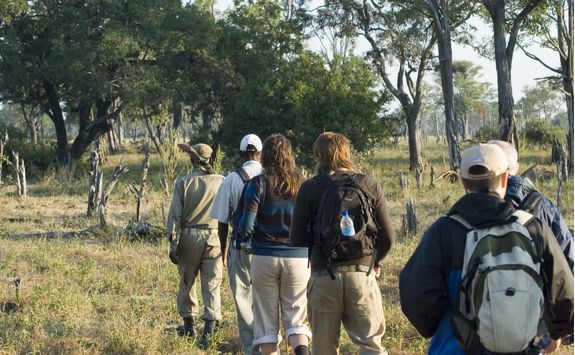 walking safari
