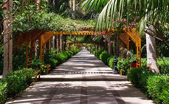 botanical gardens in aswan