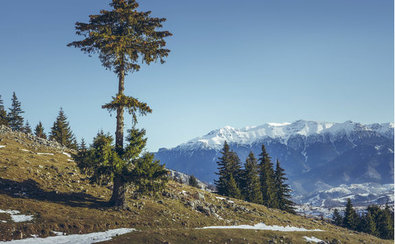 zanoaga meadow piatra crauilui national park