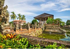 kambang bali