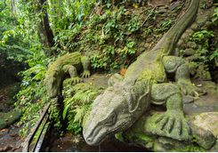 ayung river lizards