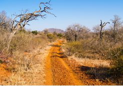 Madikwe Road, South Africa