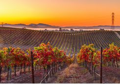 The sunset over Napa Valley