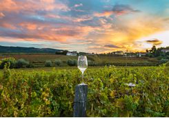 Expansive views of Napa Valley