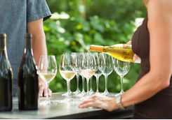 Wine tasting in Napa