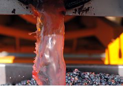 Witness the wine making process
