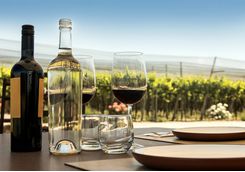 Wine tasting with stunning views